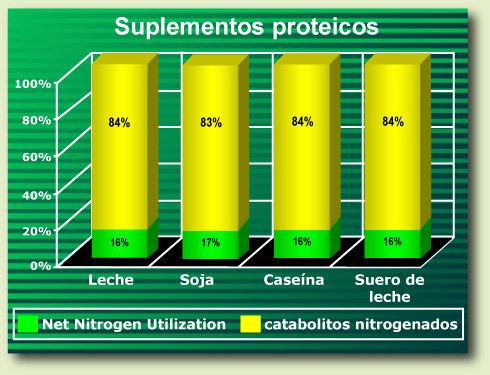 chart 5